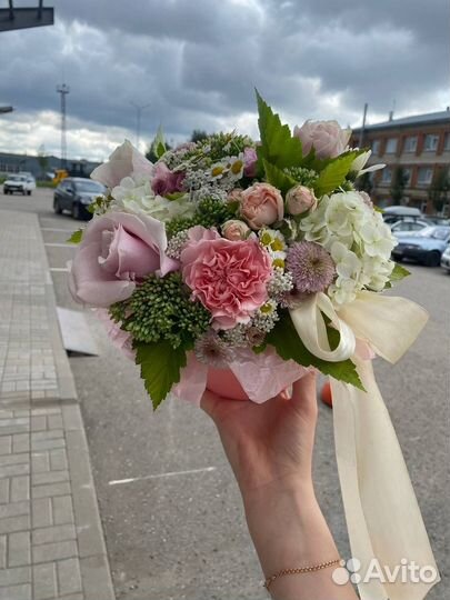 Живые цветы Гвоздики