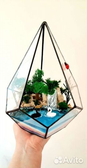 Флорариум, моссариум