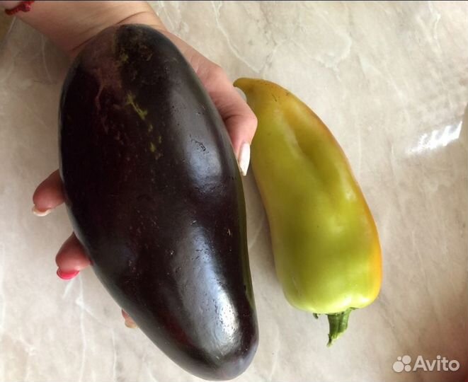 Экоудобрение Vertera