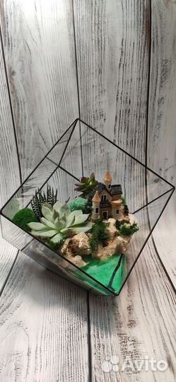 Флорариум, цветы, подарок