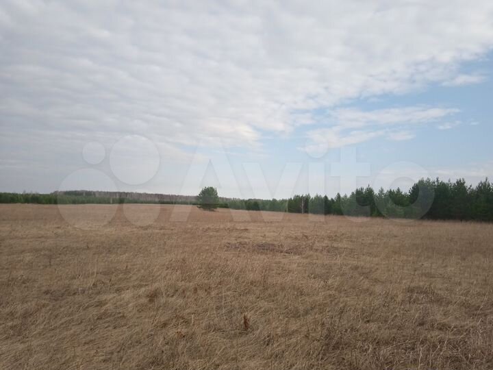 Участок 9 га (СНТ, ДНП)