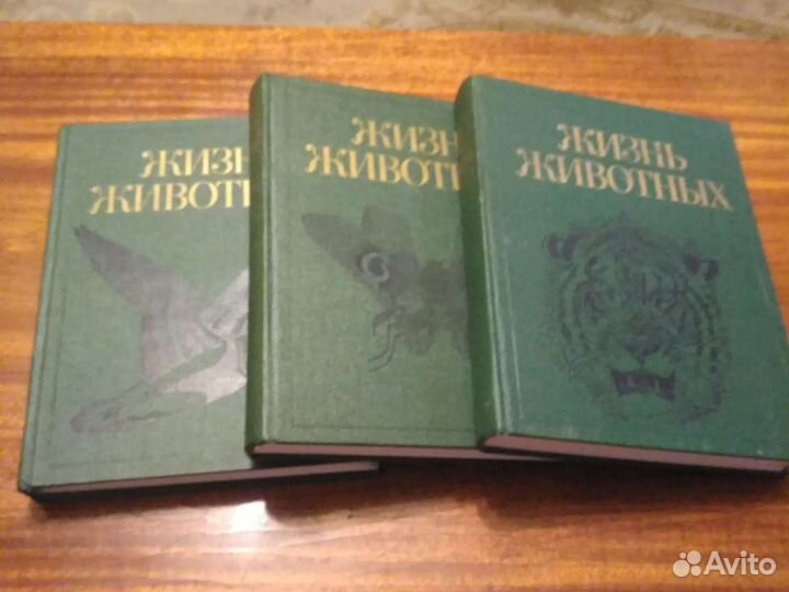 Книги.Жизнь животных