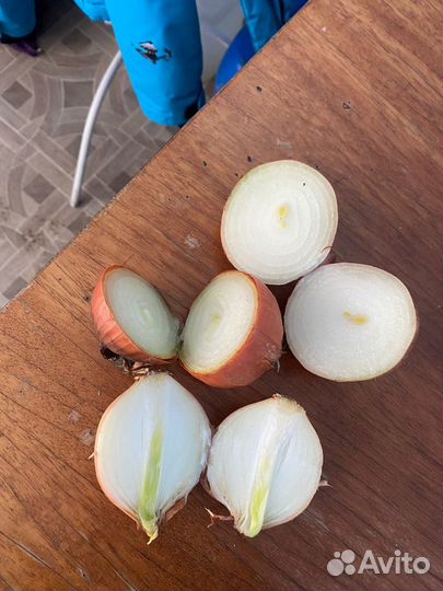 Лук на зелень
