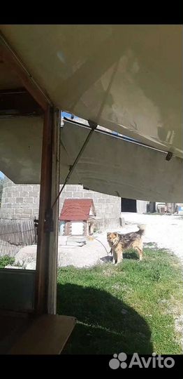 Прицеп фудрак кухня