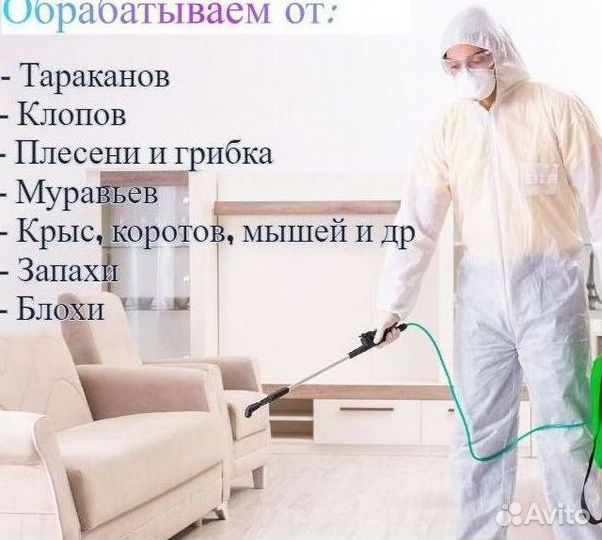 Уничтожение тараканов мышей плесени