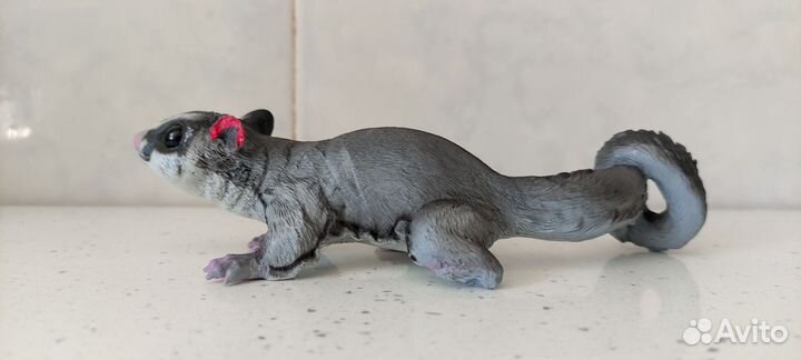 Safari сахарный поссум