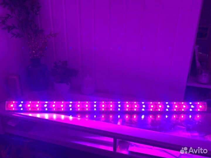 Фитолампа для растений биколор