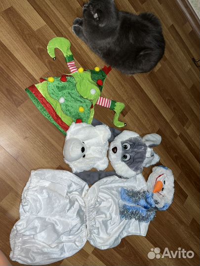 Новогодние костюмы