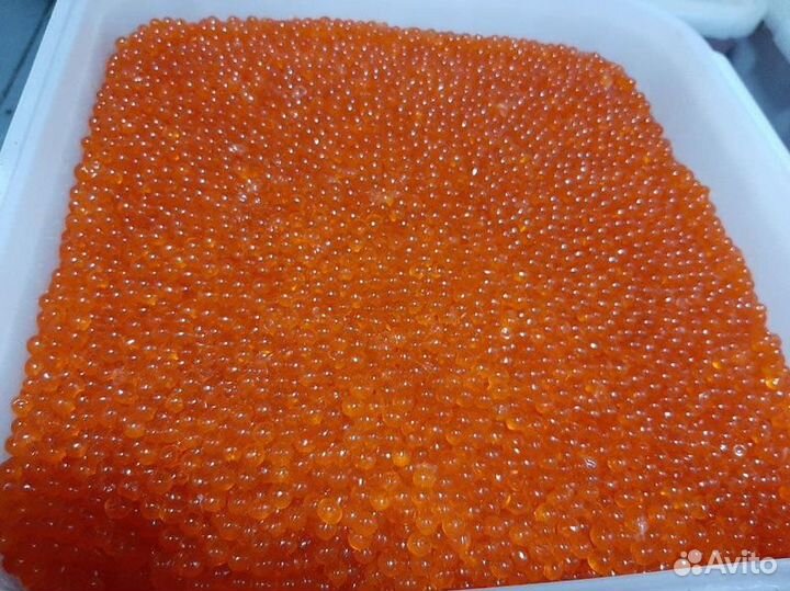 Красная икра горбуши оптом