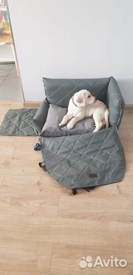 Автокресло для собак