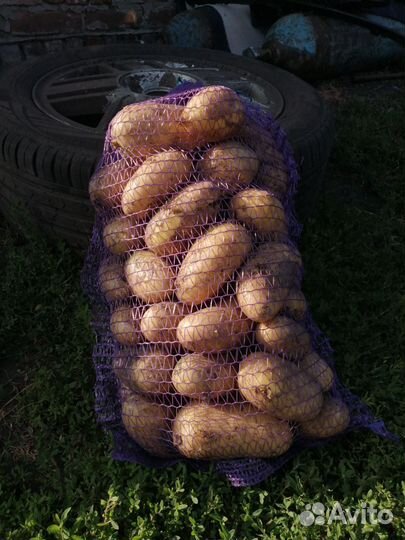 Картофель с доставкой