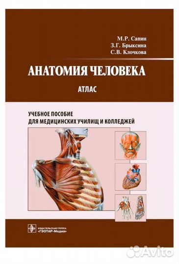 Анатомия человека атлас Сапин М. Р