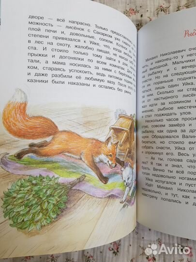Приключения Уйки
