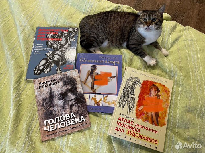 Книги по рисованию, рукоделию, дизайну