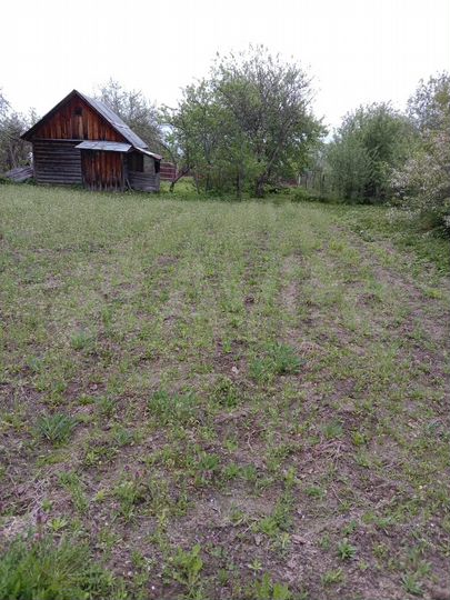 Участок 8,1 сот. (ИЖС)