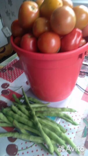 Помидоры домашние