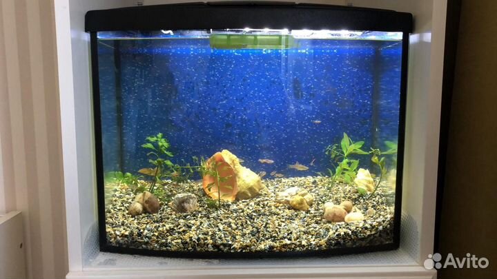 Аквариумный светильник