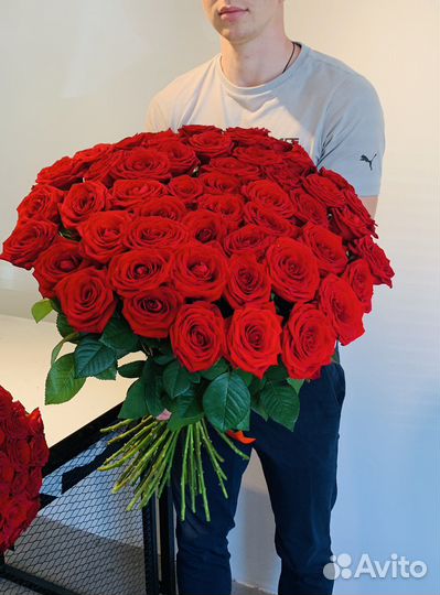 Красные розы. Букет роз. 101 роза 51 роза 35 роз