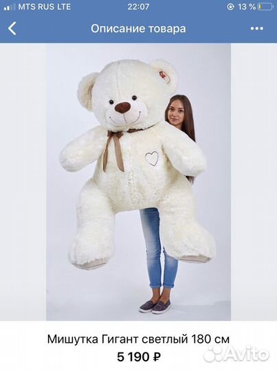 Плюшевый медведь