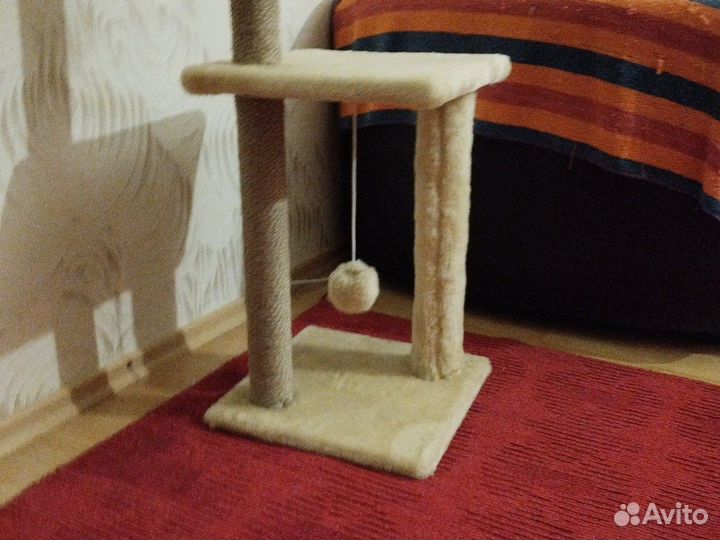 Когтеточка для кошек новая