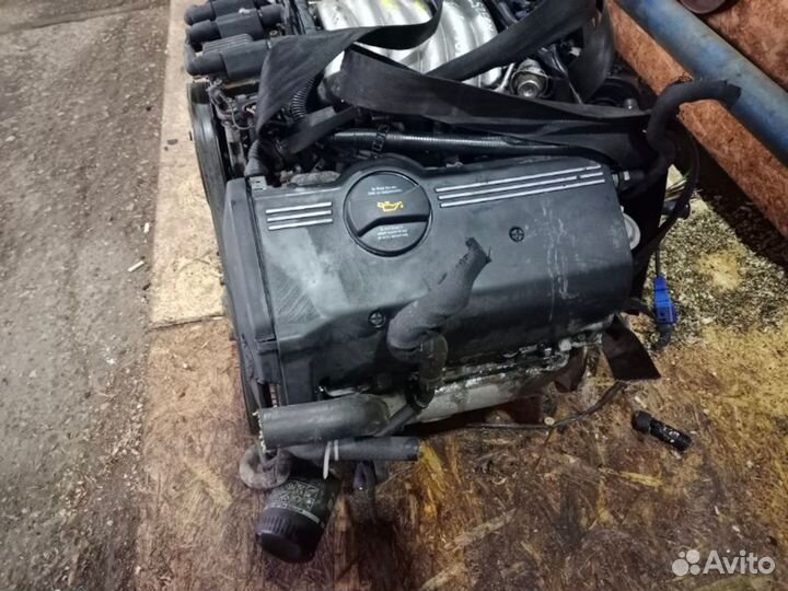 Двигатель Audi A4 B6 BDV