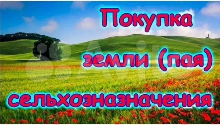 Участок 11,42 га (СНТ, ДНП)