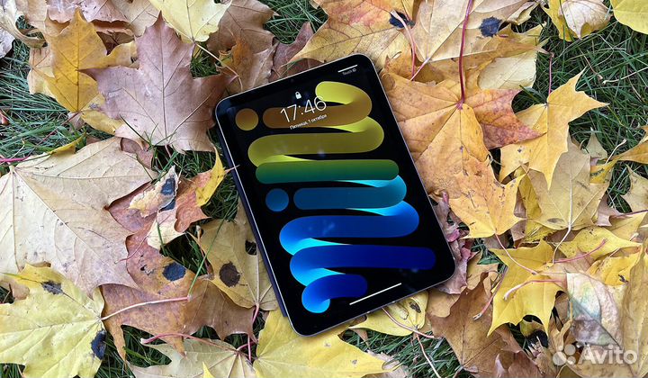 iPad mini 2021 (Space Gray) 256GB(Cellular)