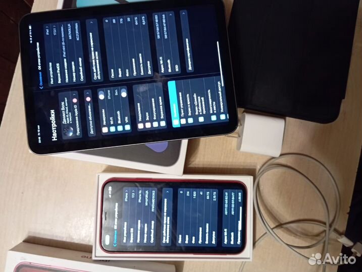 iPad mini 6