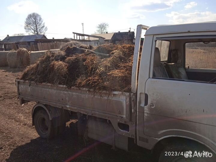 Перегной навоз