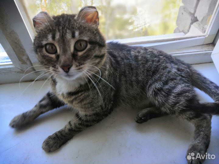 Изумительная малышка