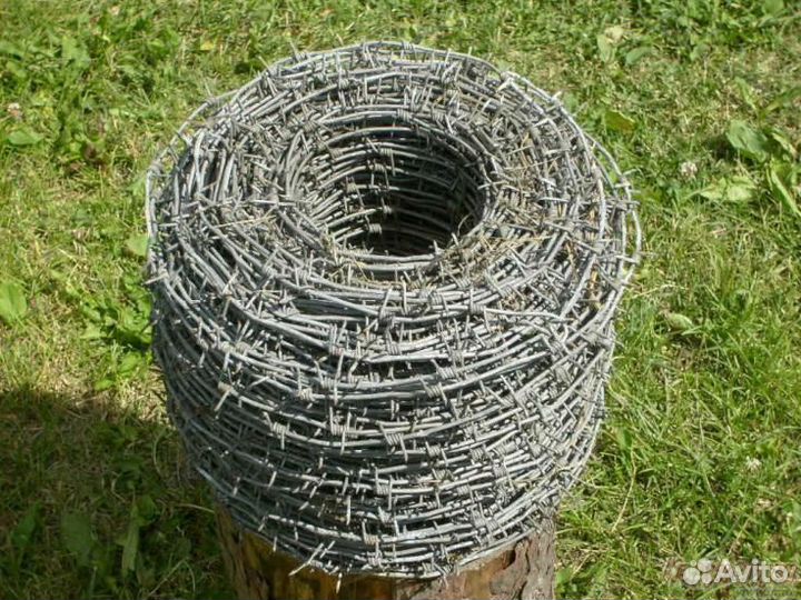 Колючая проволока егоза