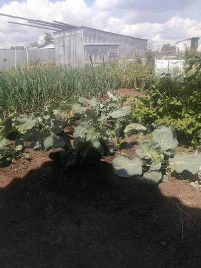 Дом 90 м² на участке 13 сот.