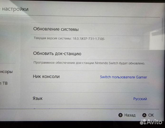 Nintendo Switch Rev 1 Прошитая