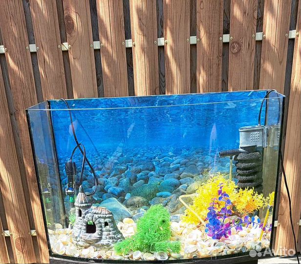 Аквариум