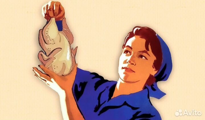 Комплектовщик на птицефабрику