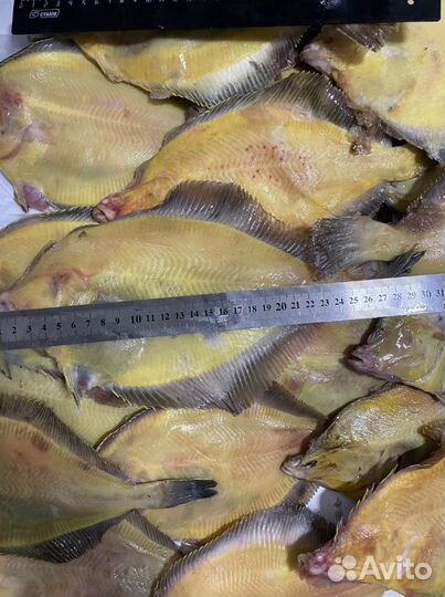 Камбала опт / розница