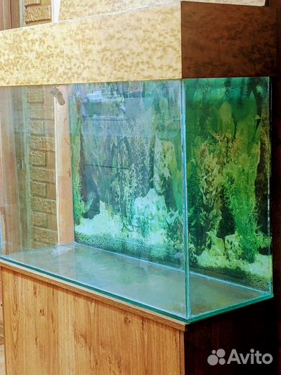 Аквариум с тумбой 200 л бу