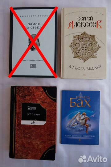 Ричард Бах. Чайка Джонатан Ливингстон