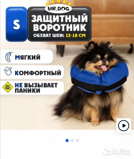 Ветеринарный воротник