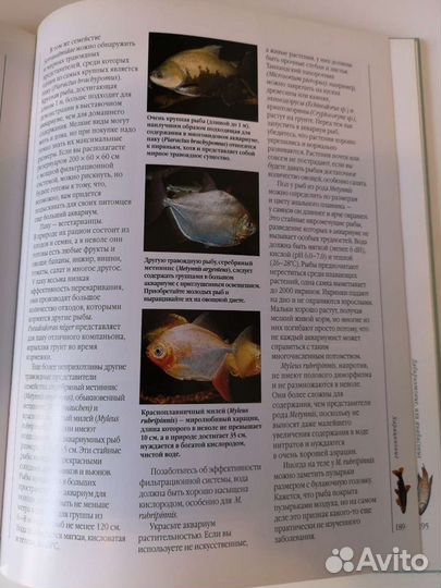 Энциклопедия аквариумные рыбки