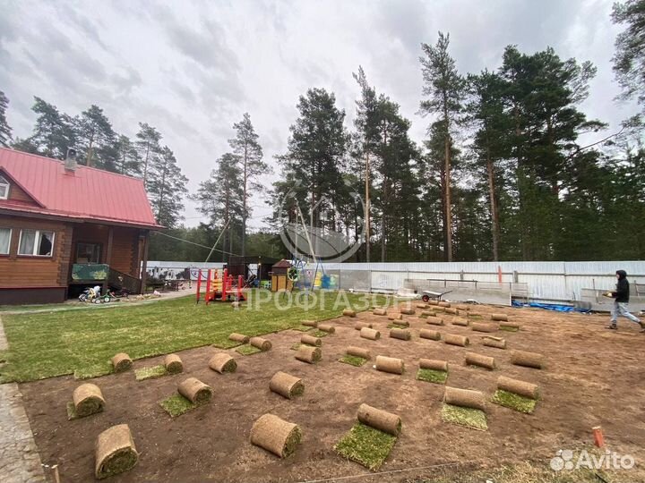 Элитный Рулонный газон с укладкой