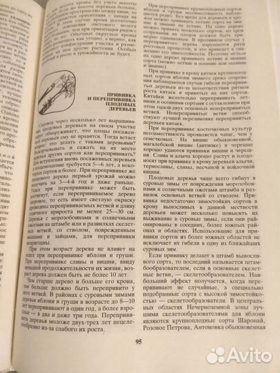 Книга Ваш приусадебный участок 382 стр