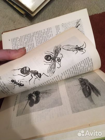 Детские книги СССР