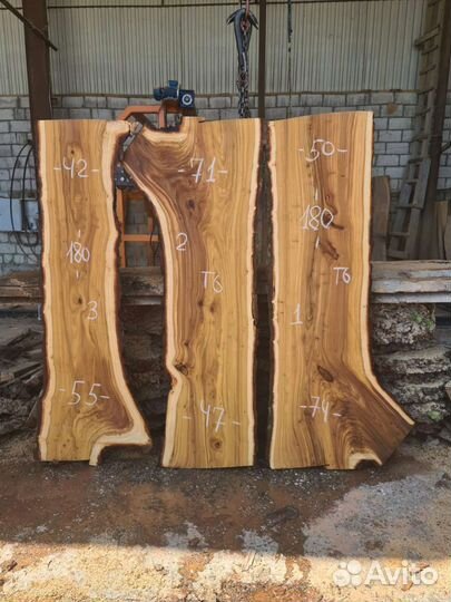 Слэб карагач