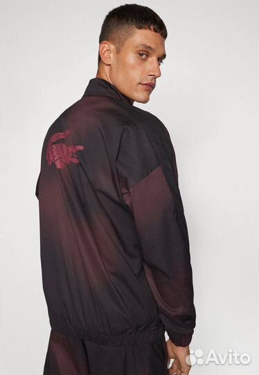 Костюм Lacoste new collection