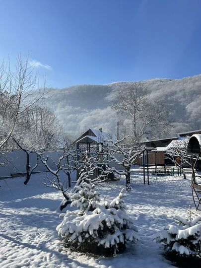 Комната 20 м², 1/1 эт.