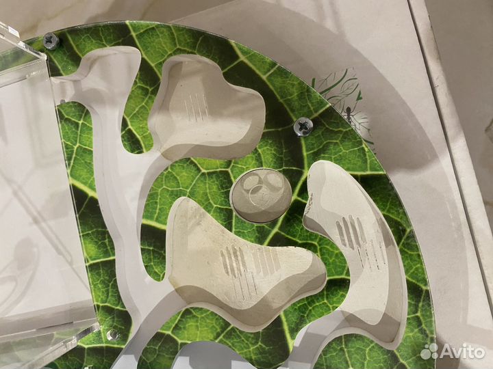 Муравьиная ферма