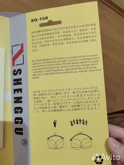 Stereo microphone of DV