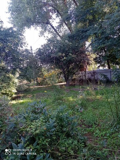 Дом 66 м² на участке 48 сот.