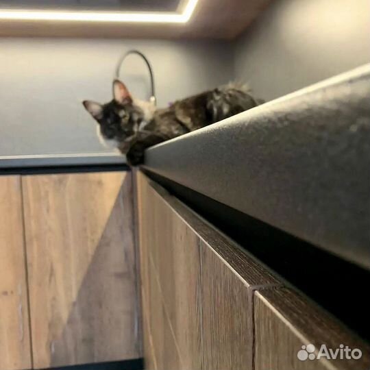 Кухня Шафран на заказ